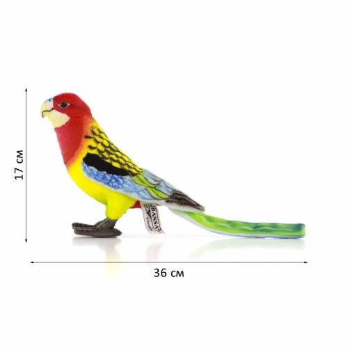 Попугай розелла, 36 см